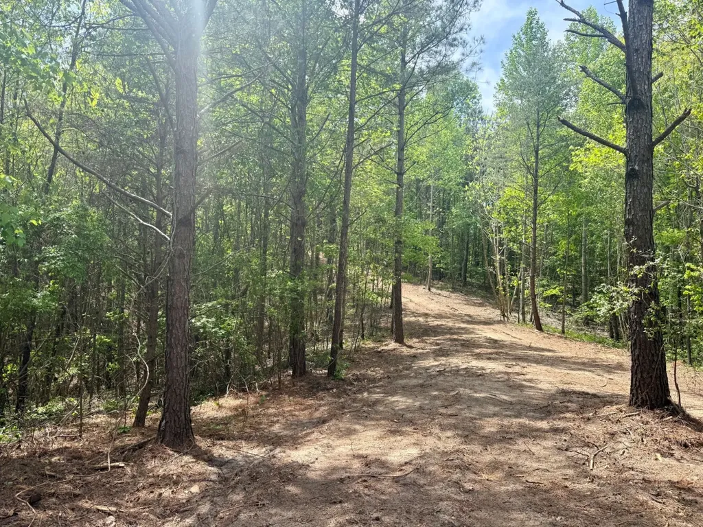 0 Co Road 3022 Double Springs AL 35553