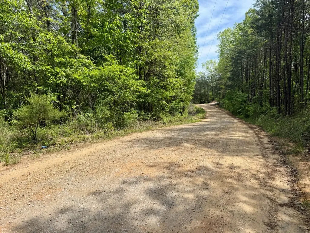 0 Co Road 3022 Double Springs AL 35553