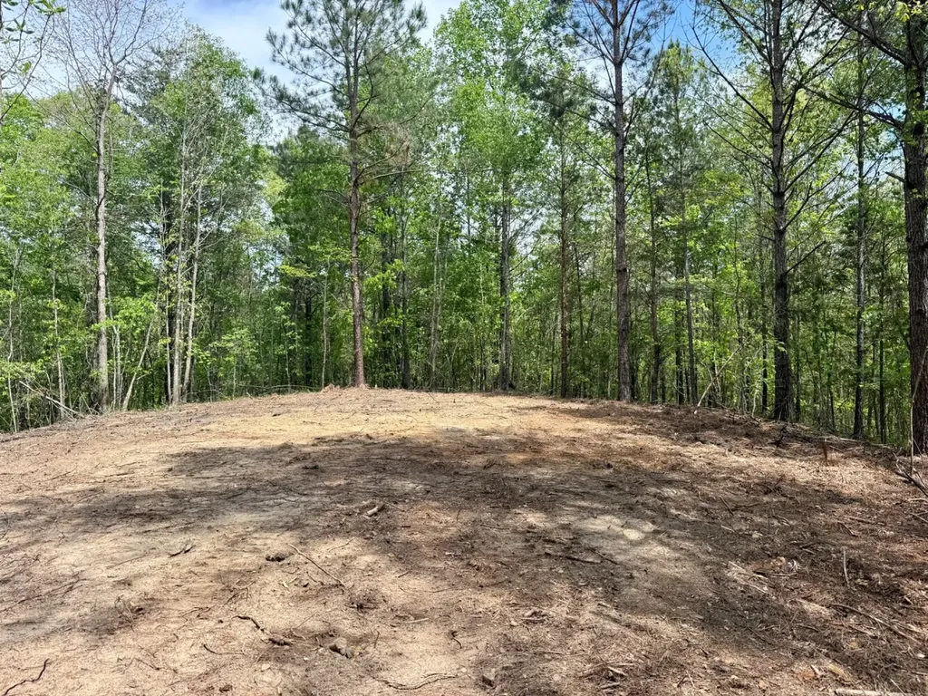 0 Co Road 3022 Double Springs AL 35553