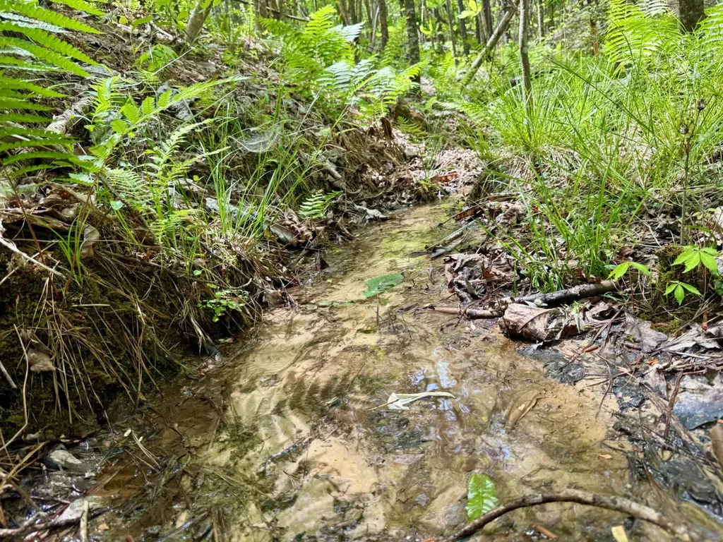 0 Co Road 3022 Double Springs AL 35553
