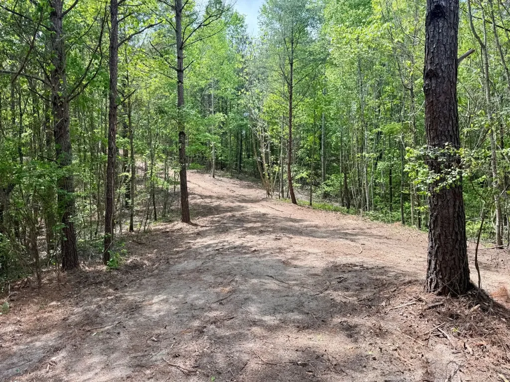 0 Co Road 3022 Double Springs AL 35553