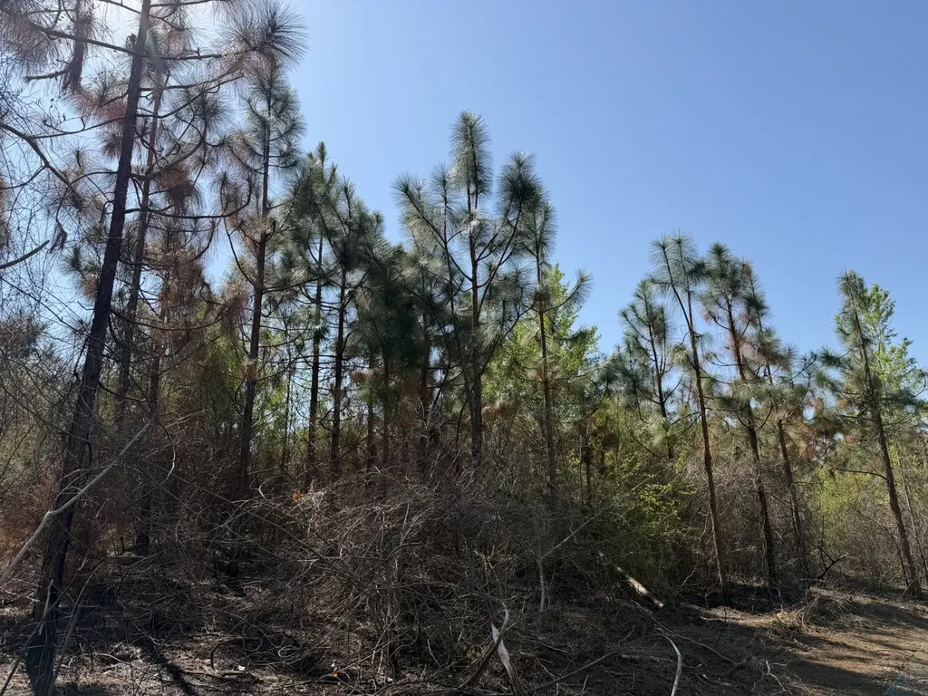 1 Highway 68 Dothan AL 36305