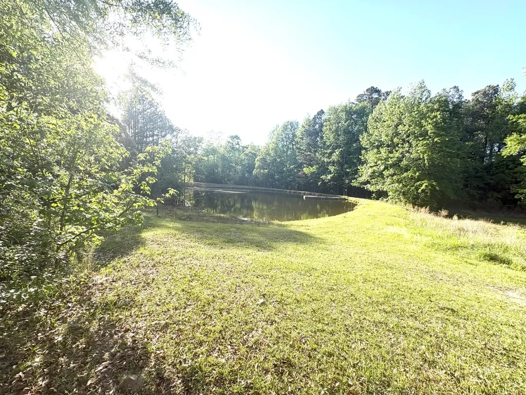 3392 Scott Mountain Road Butler AL 36904