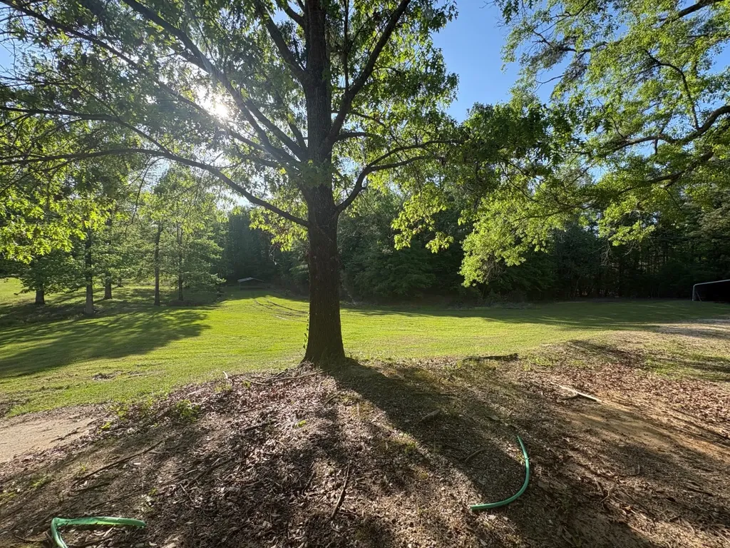 3392 Scott Mountain Road Butler AL 36904