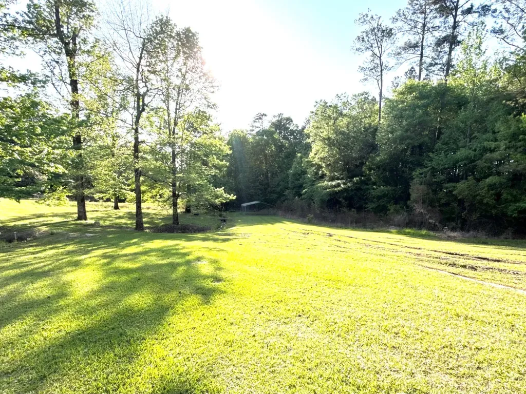 3392 Scott Mountain Road Butler AL 36904