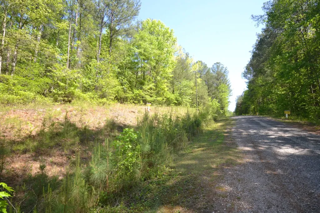 Lot 15 Crystal Cove Wedowee AL 36278