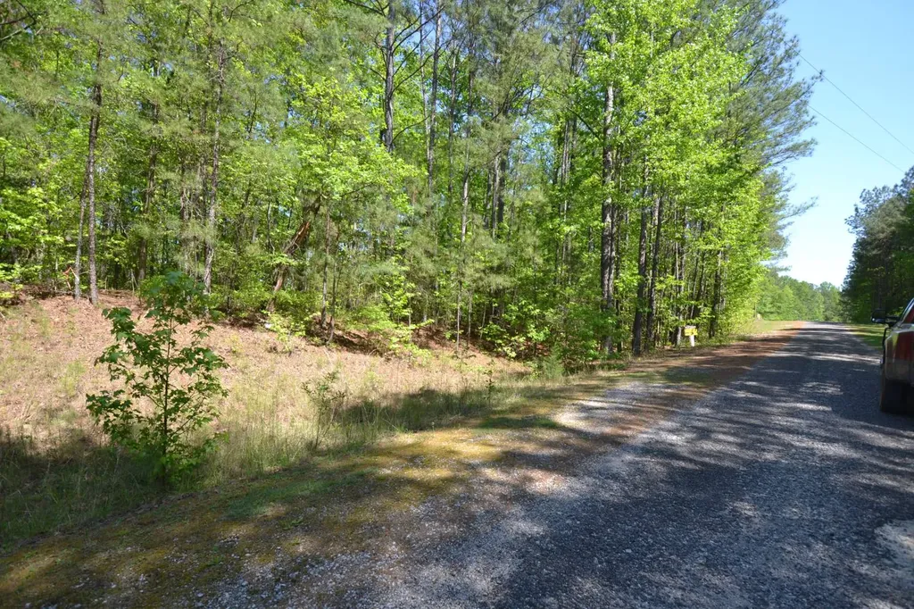 Lot 17 Crystal Cove Wedowee AL 36278