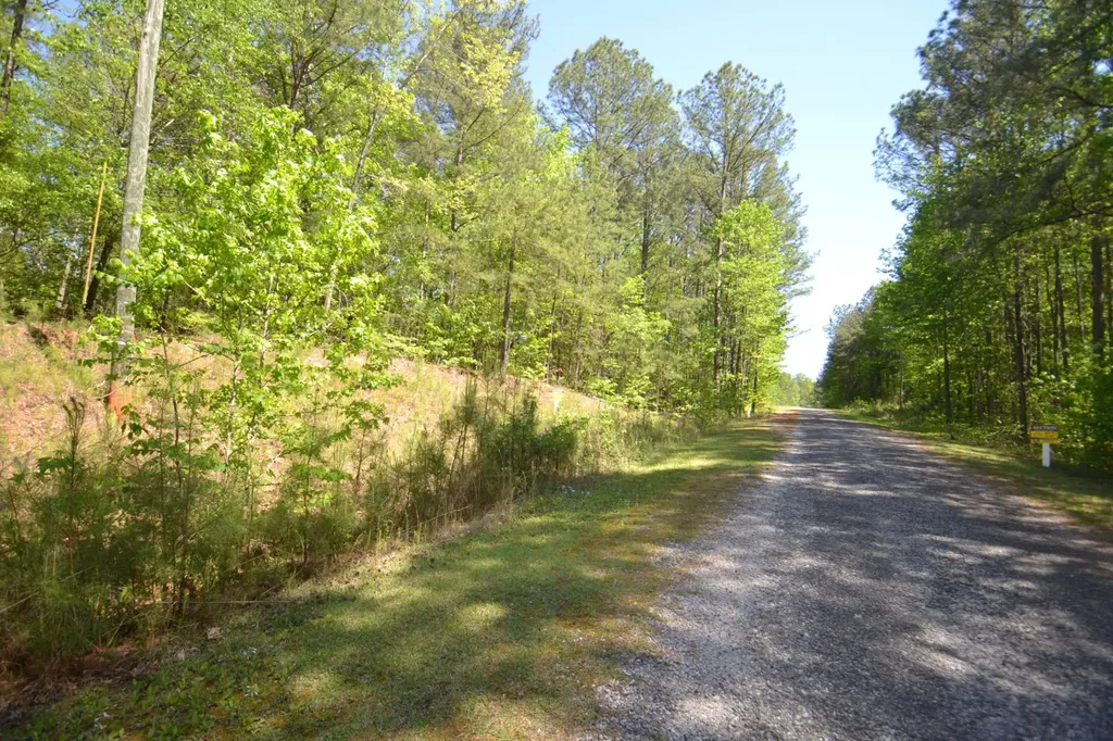 Lot 16 Crystal Cove Wedowee AL 36278