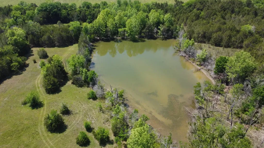 450 Mcghee Road Hayneville AL 36040