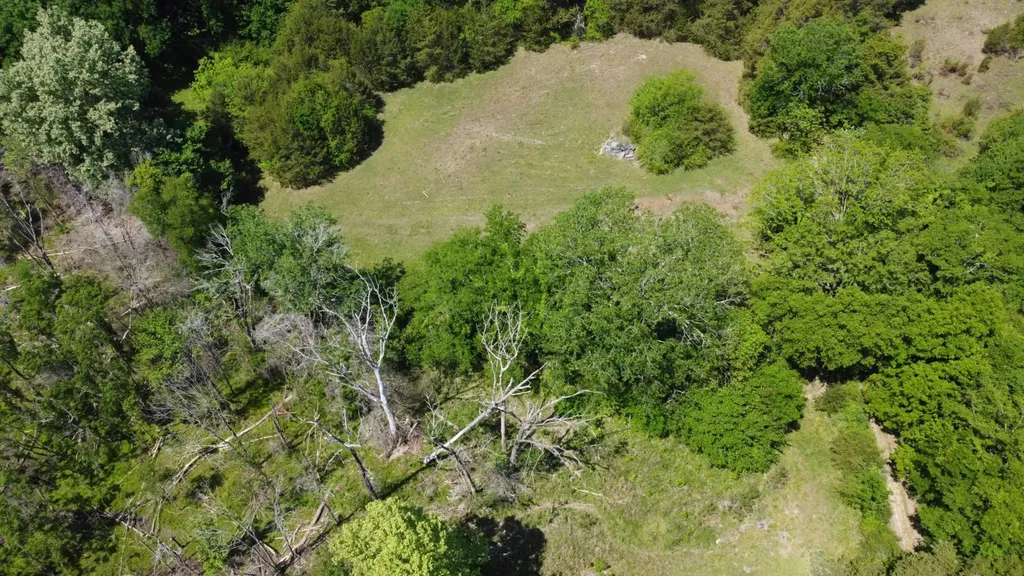450 Mcghee Road Hayneville AL 36040