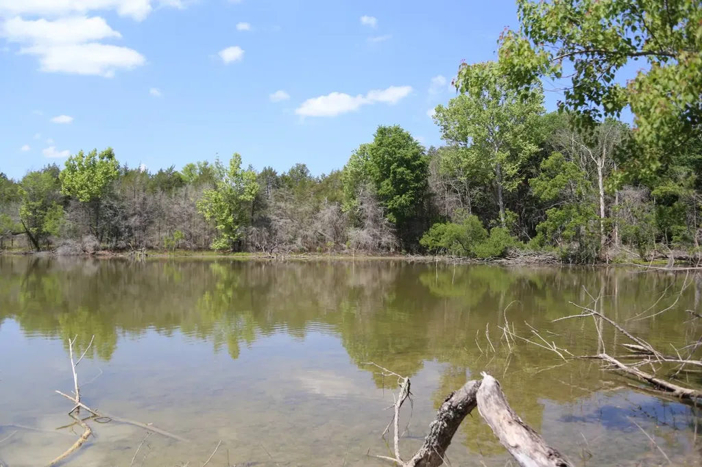 450 Mcghee Road Hayneville AL 36040