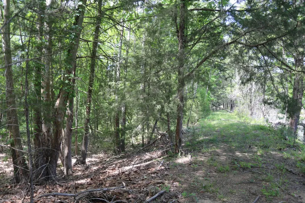 450 Mcghee Road Hayneville AL 36040