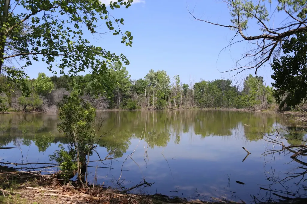 450 Mcghee Road Hayneville AL 36040