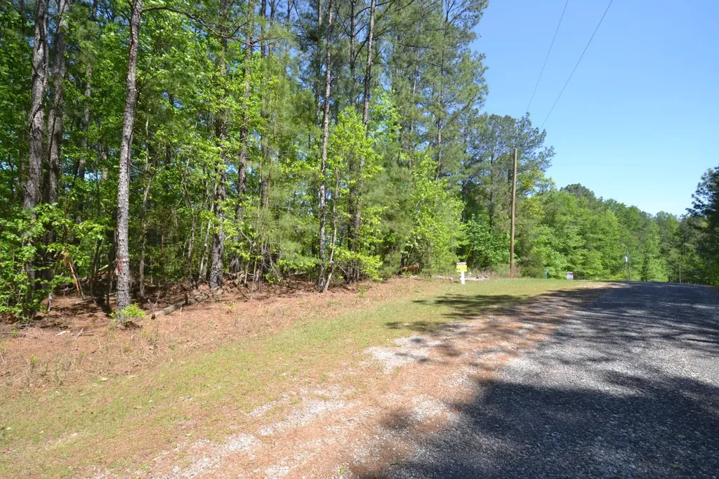 Lot 19 Crystal Cove Wedowee AL 36278