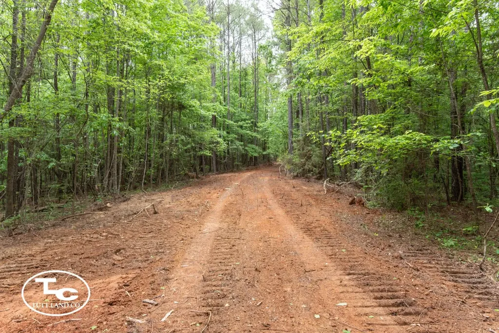 Tbd M L King Highway Eutaw AL 35462