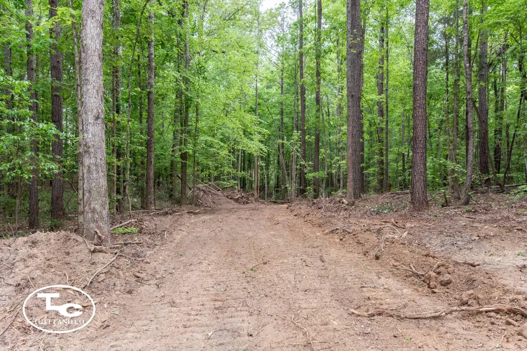 Tbd M L King Highway Eutaw AL 35462