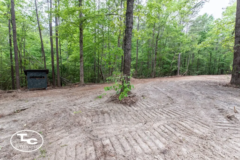 Tbd M L King Highway Eutaw AL 35462