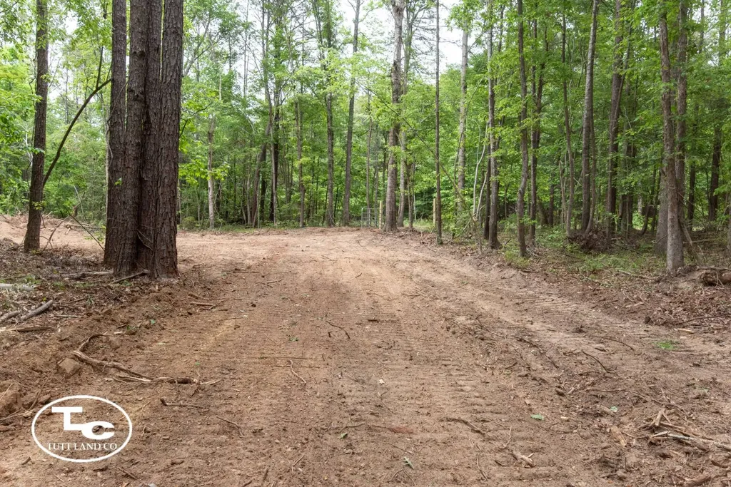 Tbd M L King Highway Eutaw AL 35462