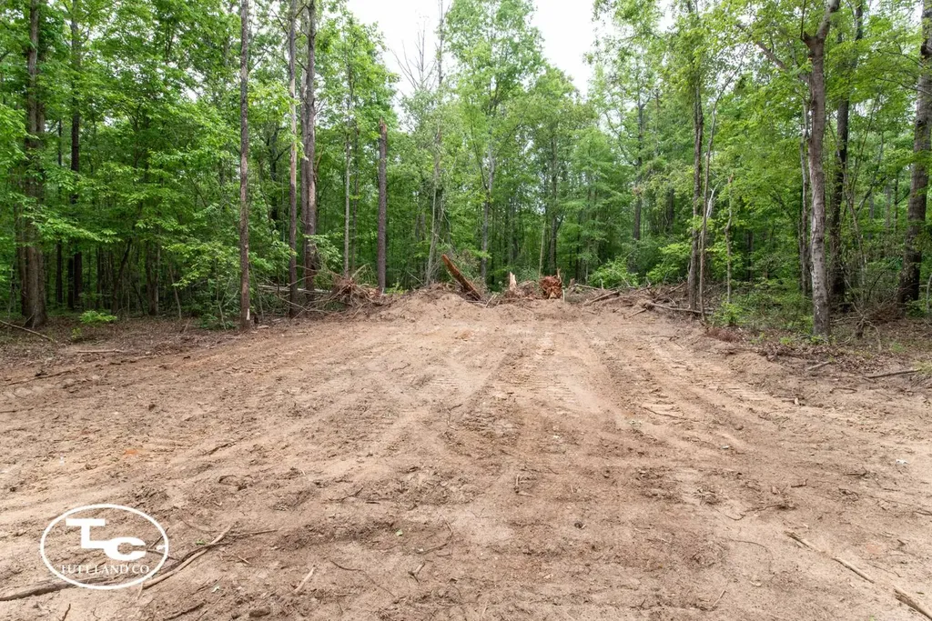 Tbd M L King Highway Eutaw AL 35462