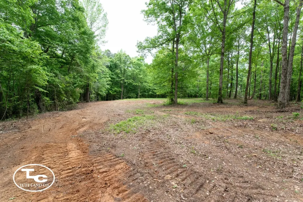 00 M L King Highway Eutaw AL 35462