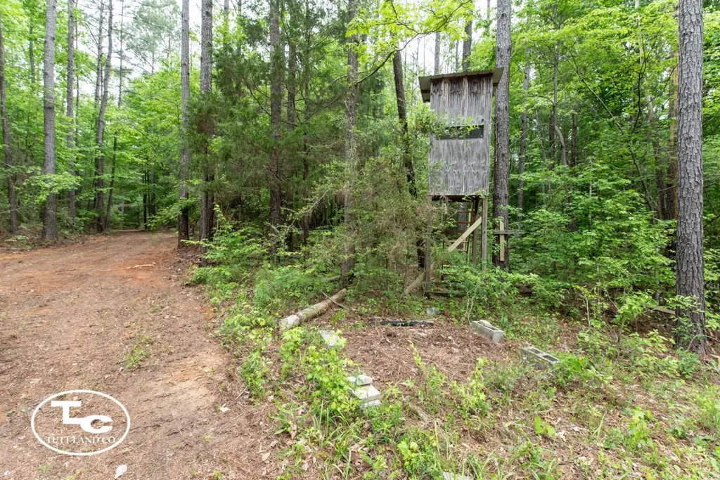 00 M L King Highway Eutaw AL 35462