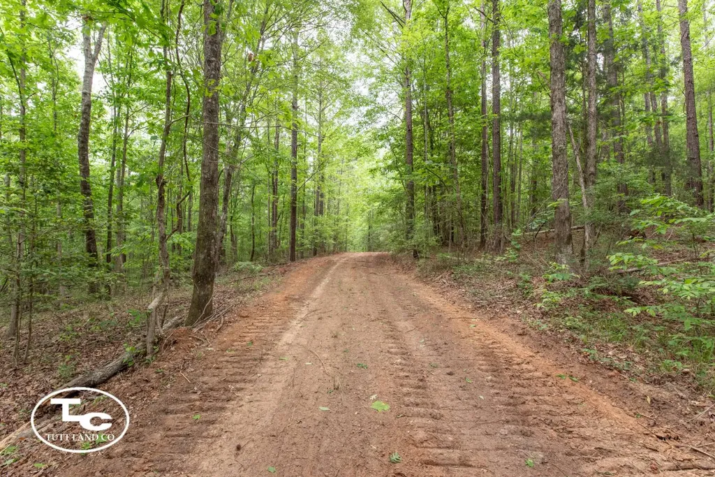 00 M L King Highway Eutaw AL 35462