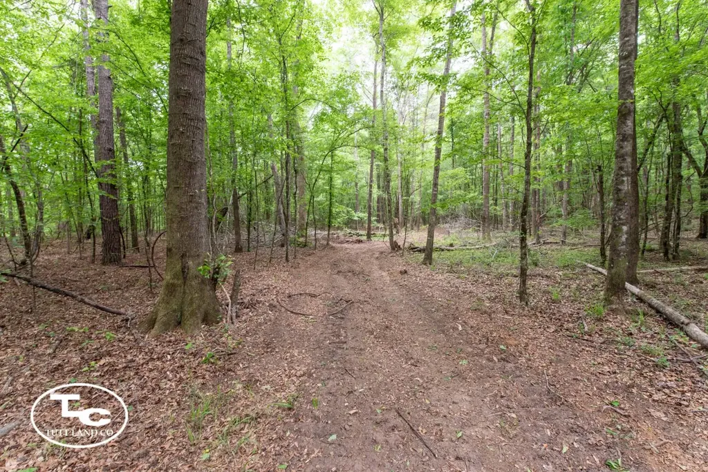 00 M L King Highway Eutaw AL 35462