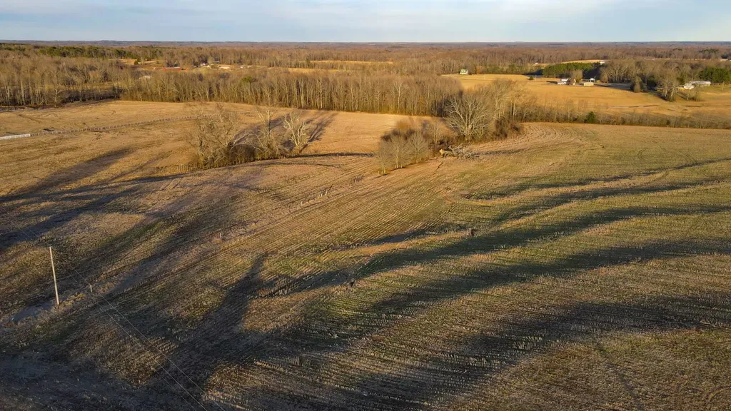 1 Highway 20 Florence AL 35633