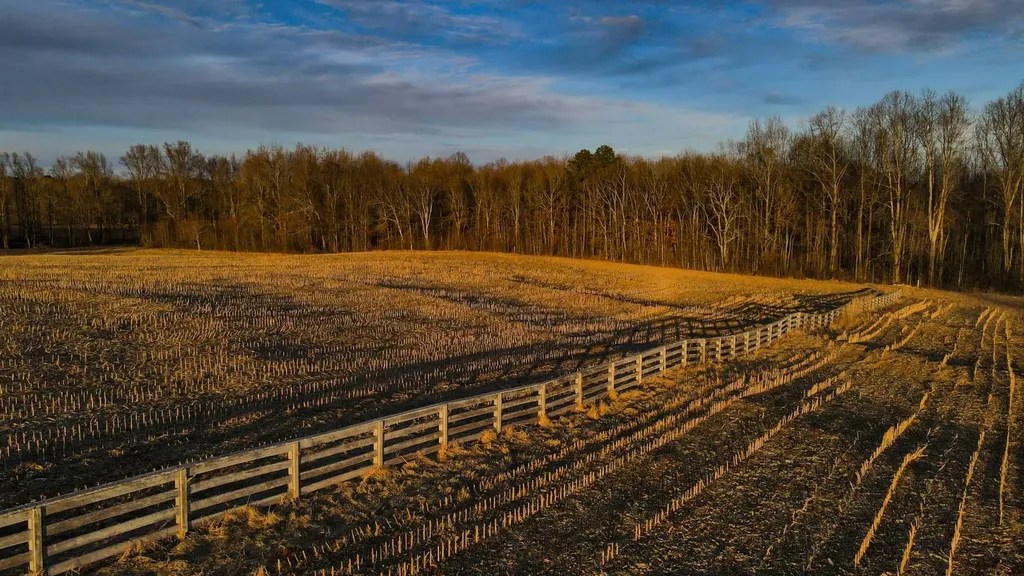 1 Highway 20 Florence AL 35633