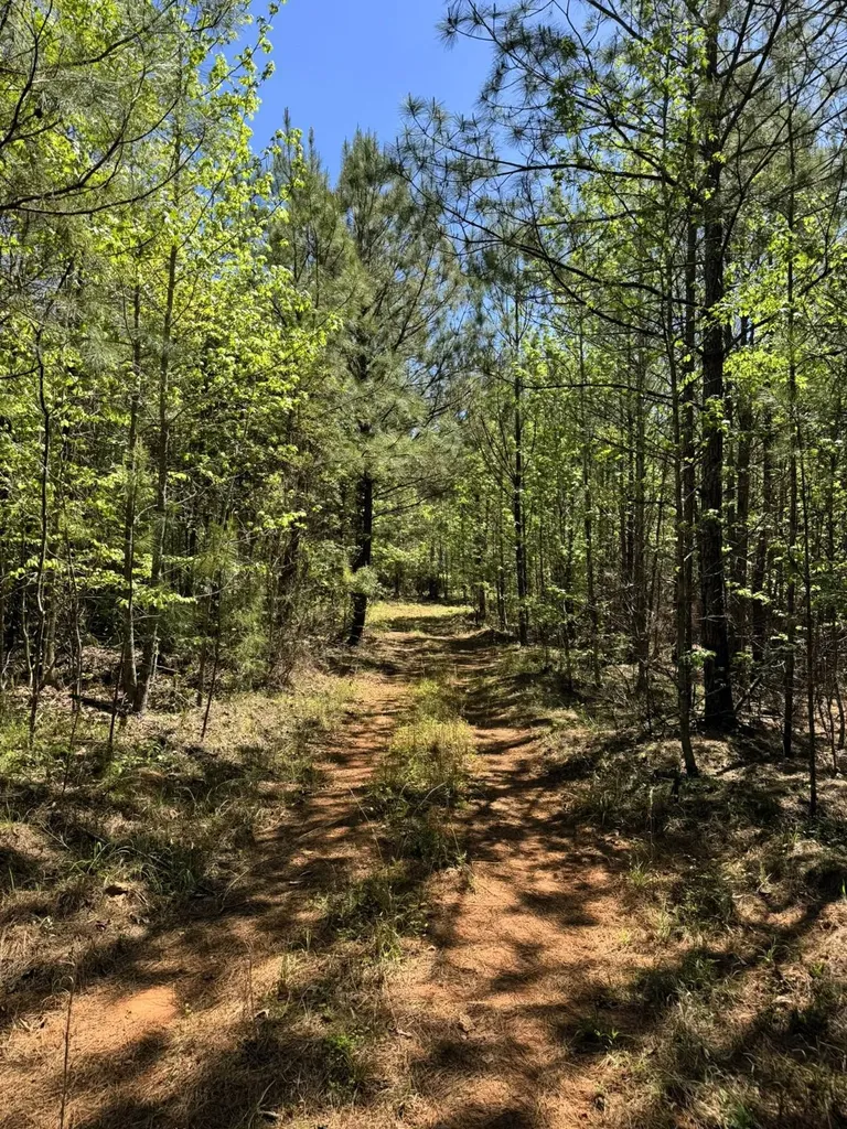 000 Lee Road 254 Salem AL 36874