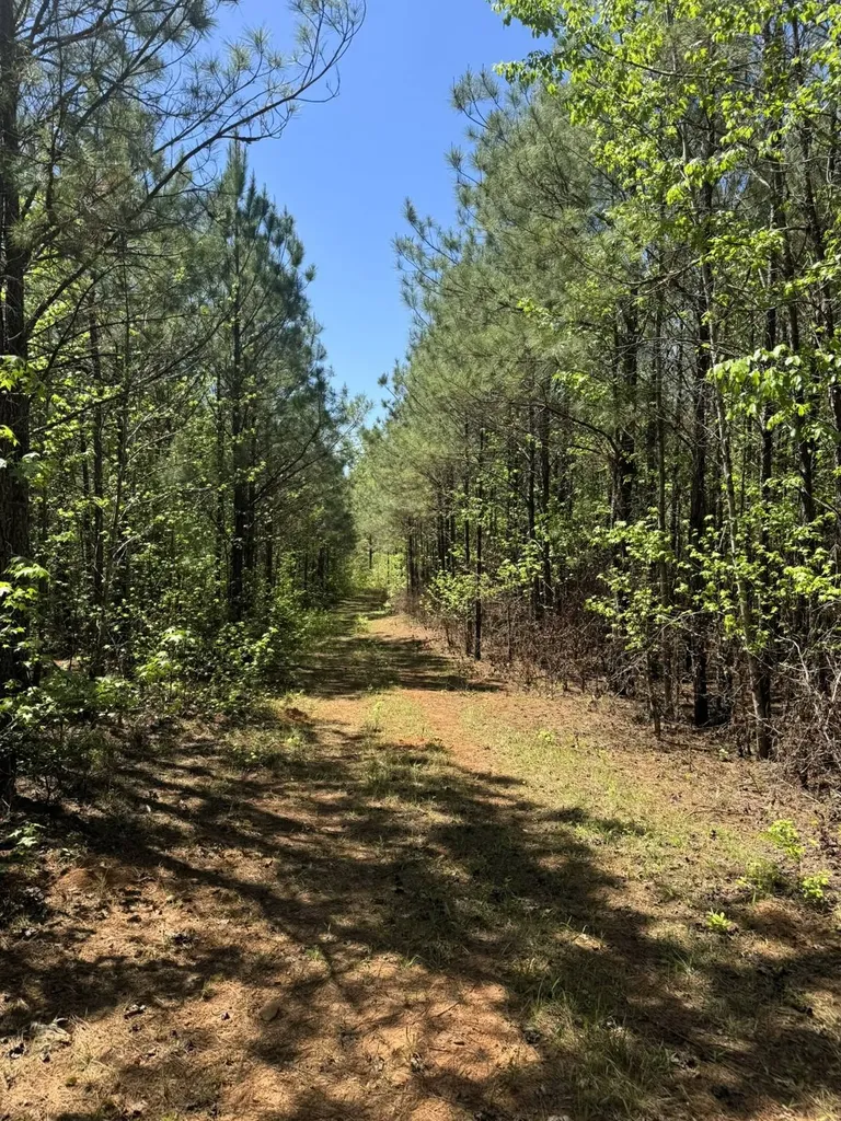 000 Lee Road 254 Salem AL 36874