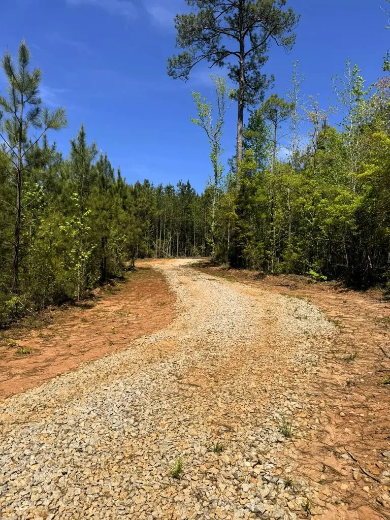 000 Lee Road 254 Salem AL 36874