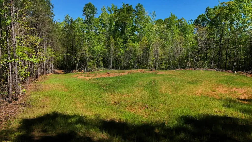 000 Lee Road 254 Salem AL 36874