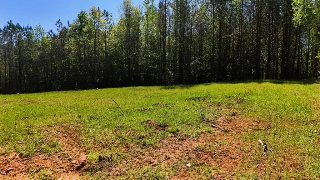 000 Lee Road 254 Salem AL 36874