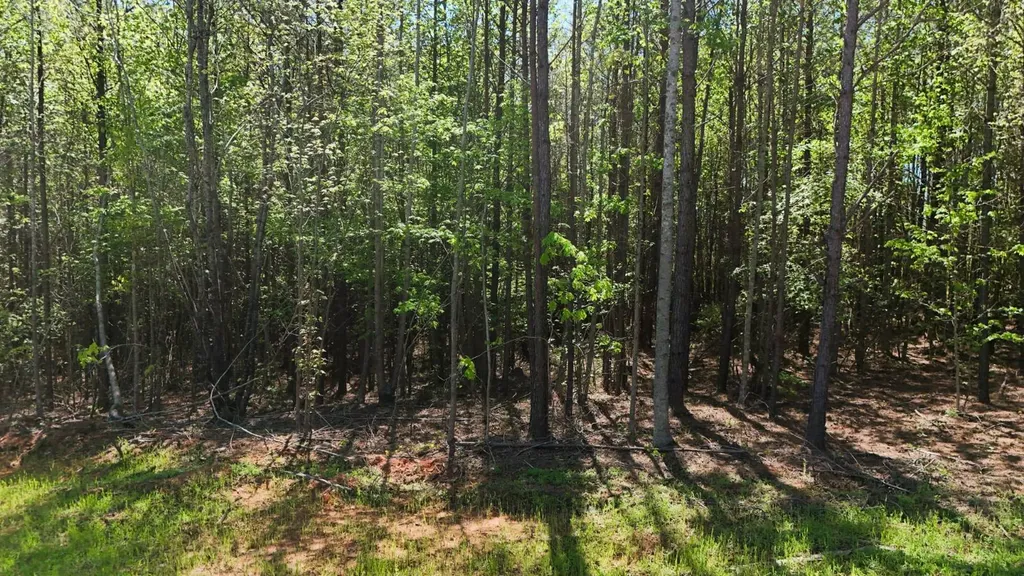 000 Lee Road 254 Salem AL 36874