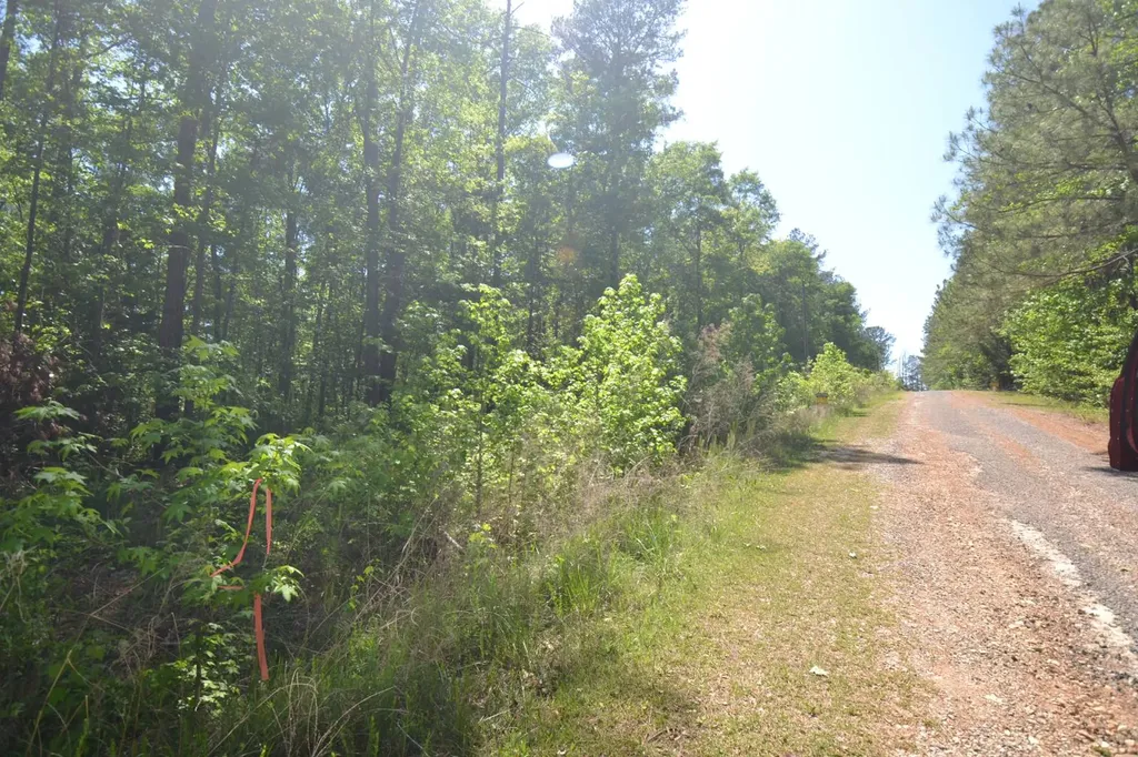 Lot 27 Crystal Cove Wedowee AL 36278