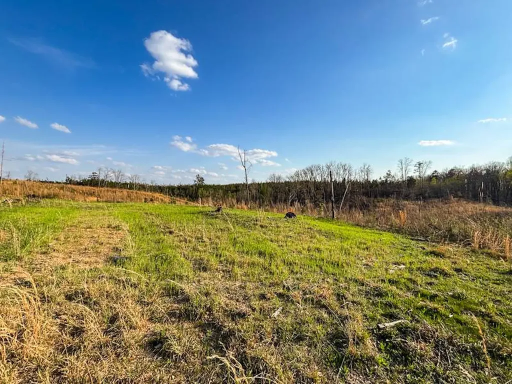 1 Smith Road Waterloo AL 35677