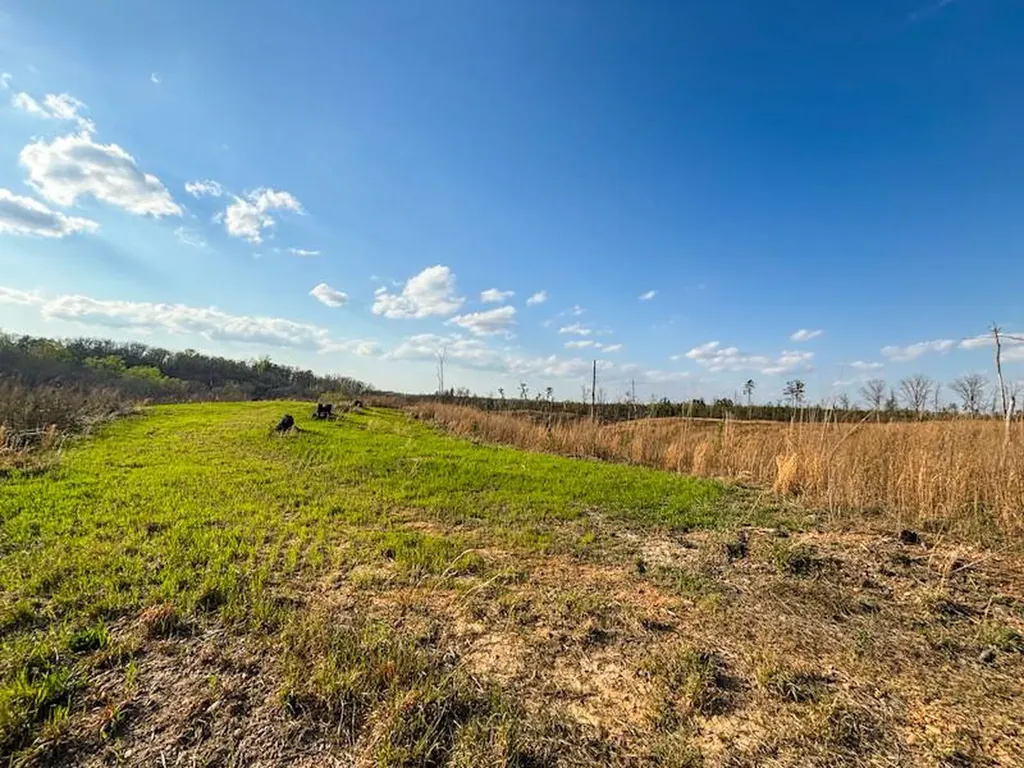 1 Smith Road Waterloo AL 35677