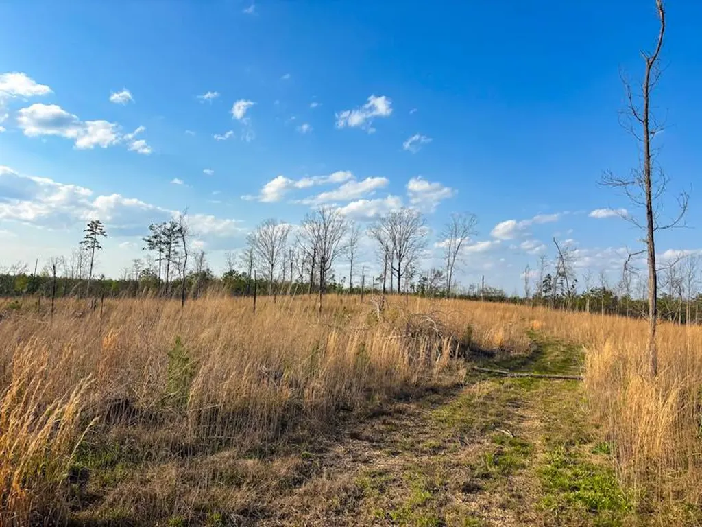 1 Smith Road Waterloo AL 35677