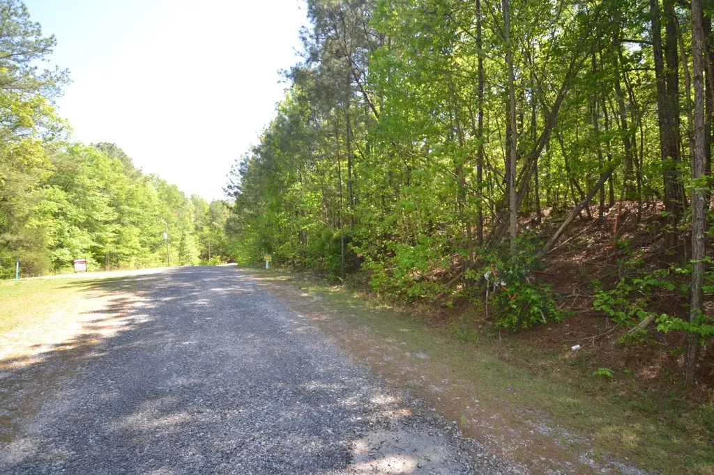Lot 40 Crystal Cove Wedowee AL 36278