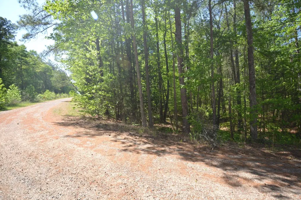 Lot 41 Crystal Cove Wedowee AL 36278
