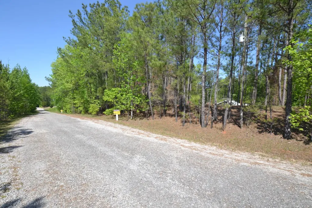 Lot 46 Crystal Cove Wedowee AL 36278