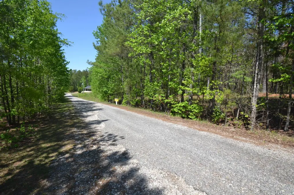 Lot 47 Crystal Cove Wedowee AL 36278