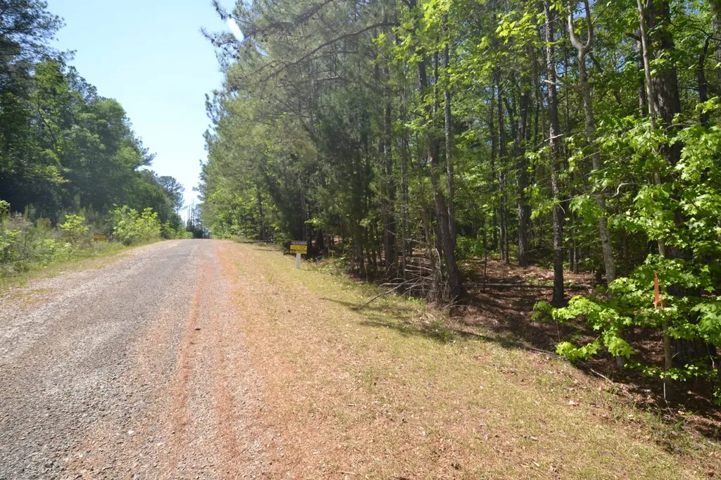 Lot 42 Crystal Cove Wedowee AL 36278
