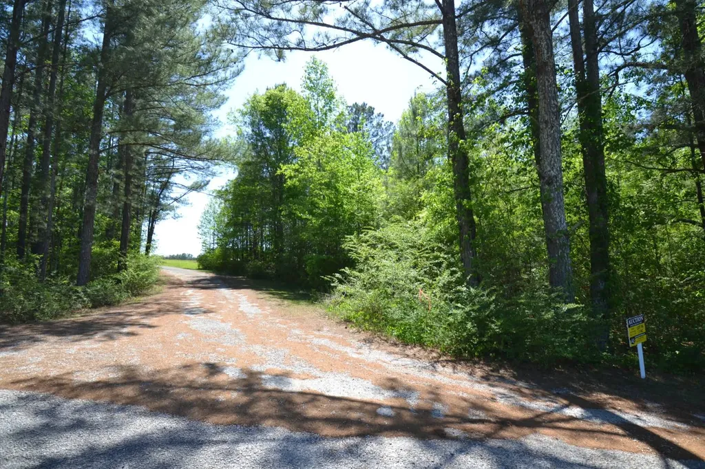 Lot 54 Crystal Cove Wedowee AL 36278
