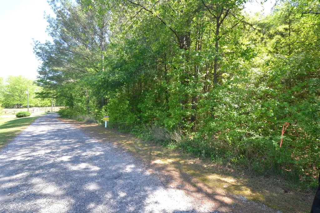 Lot 53 Crystal Cove Wedowee AL 36278