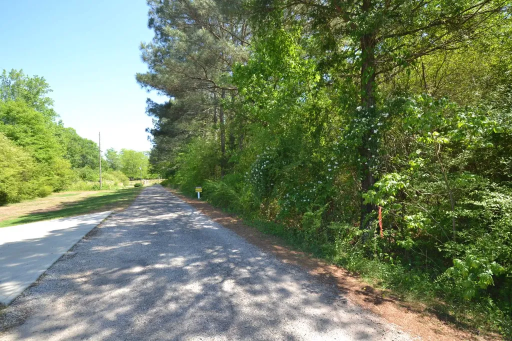 Lot 52 Crystal Cove Wedowee AL 36278