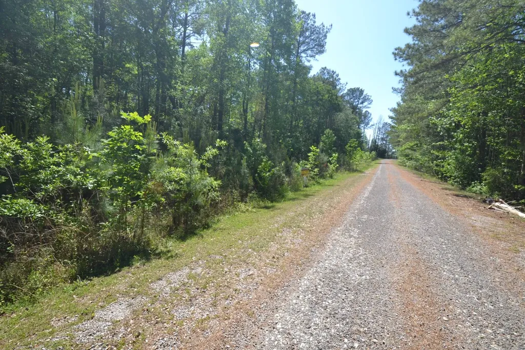 Lot 29 Crystal Cove Wedowee AL 36278