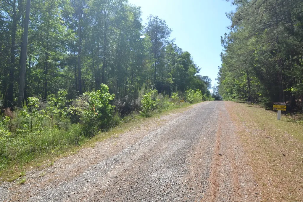 Lot 28 Crystal Cove Wedowee AL 36278