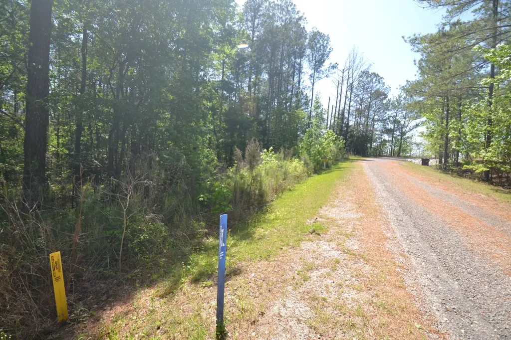 Lot 31 Crystal Cove Wedowee AL 36278